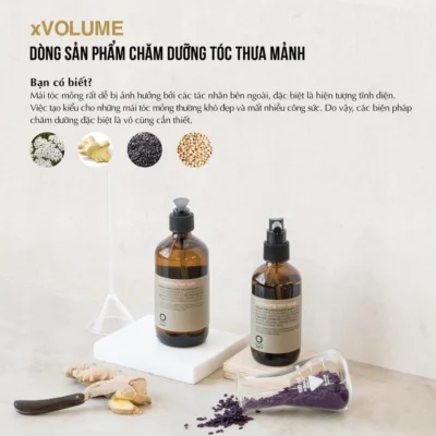 Dầu gội tạo phồng Volumizing 240ml - 950ml hoặc Xịt dưỡng tóc 160ml